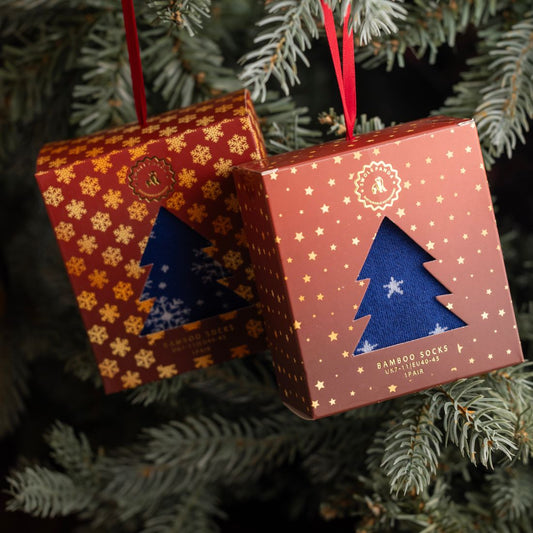Star Christmas Sock Box - 1 Pair of Bamboo Socks (His)