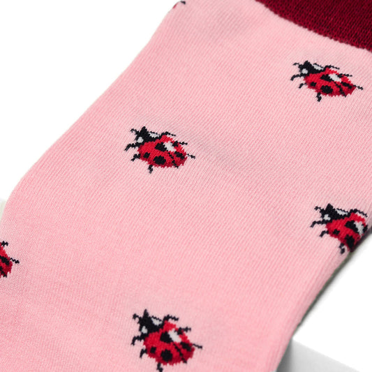 The Ladybug