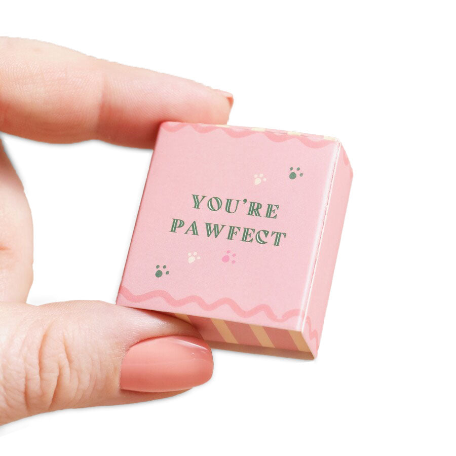 Tiny Matchbox Ceramic Token: Dog